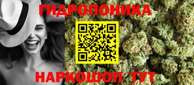 герыч Кингисепп